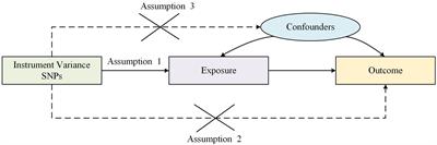Exploring the causal relationship between interleukin-6 or C reactive protein and malignant melanoma using a two-sample Mendelian randomization approach